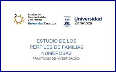 Practicum de investigación (UZ): perfiles de las familias numerosas