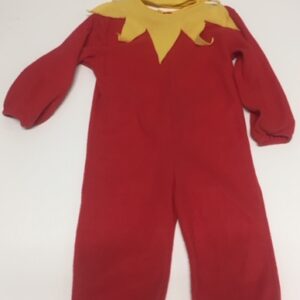 POLLITO