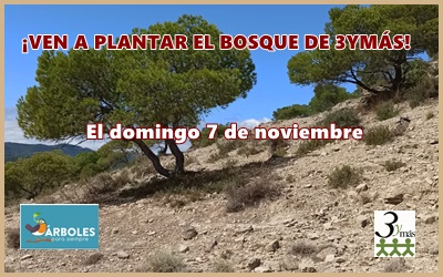 ¡VEN A PLANTAR EL BOSQUE DE 3YMÁS!