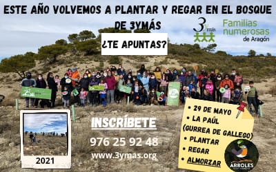 El 29 de mayo vamos al Bosque de 3ymás