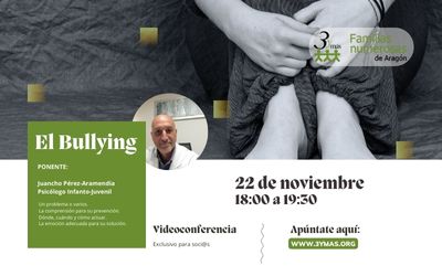 VIDEOCONFERENCIA: EL BULLYING